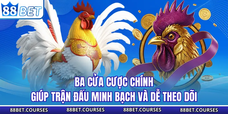 Ba cửa cược chính giúp trận đấu minh bạch và dễ theo dõi
