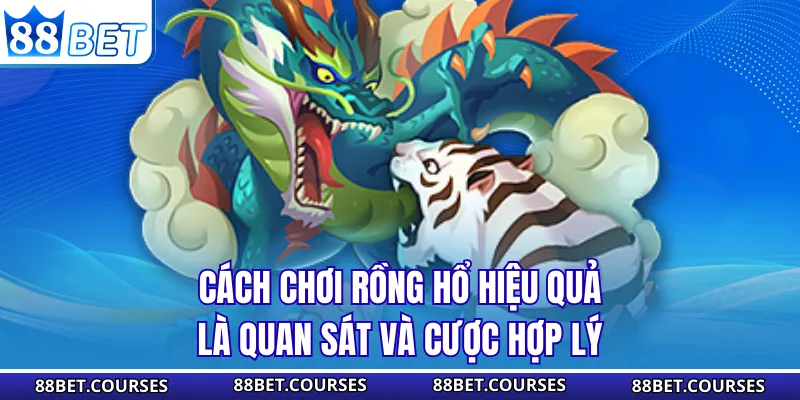 Cách chơi Rồng Hổ hiệu quả là quan sát và cược hợp lý