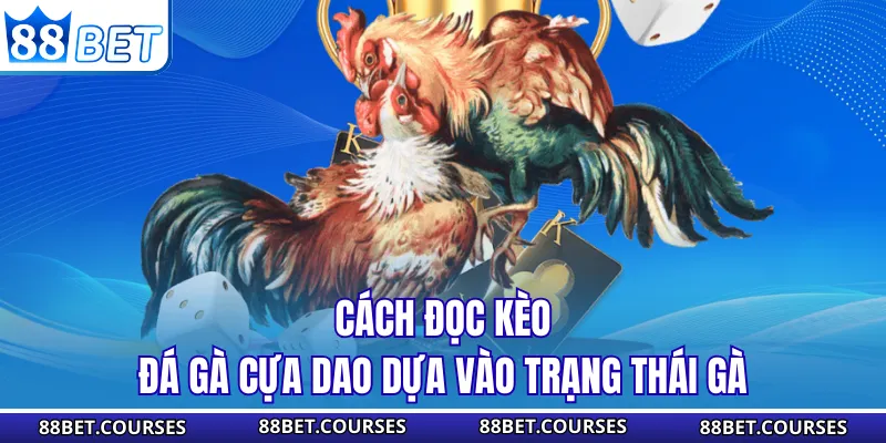 Cách đọc kèo đá gà cựa dao dựa vào trạng thái gà