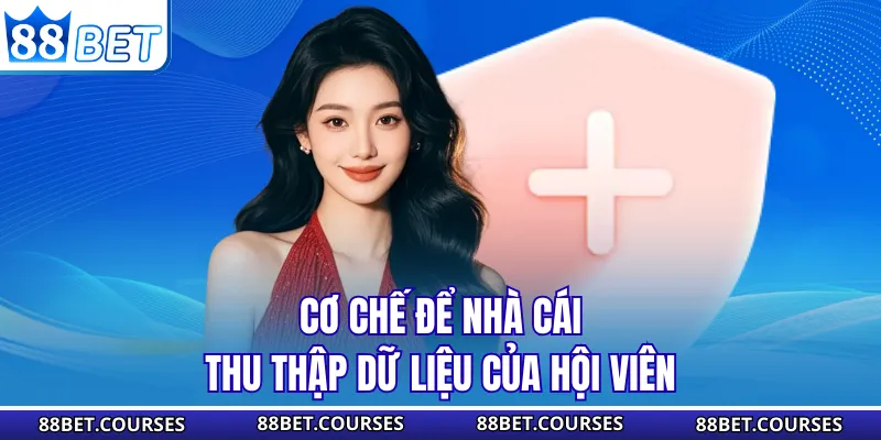 Cơ chế để nhà cái thu thập dữ liệu của hội viên