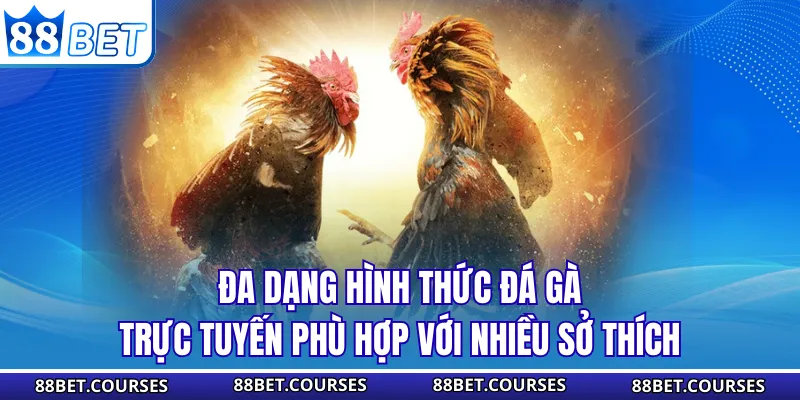 Đa dạng hình thức đá gà trực tuyến phù hợp với nhiều sở thích